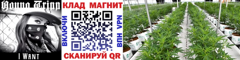 Как найти наркотики Таштагол А ПВП  Каннабис  Меф мяу мяу  ГАШИШ 