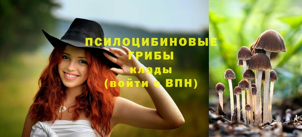 ешки Балахна