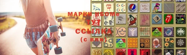 прущие грибы Баксан