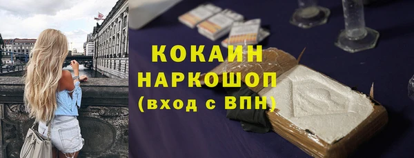 прущие грибы Баксан