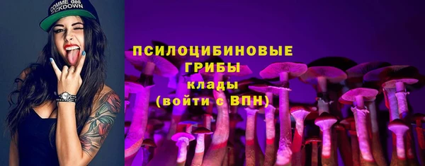 прущие грибы Баксан