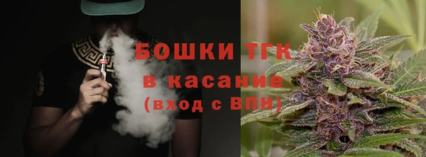 прущие грибы Баксан