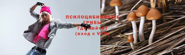 ешки Балахна