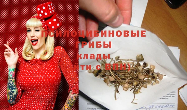 прущие грибы Баксан