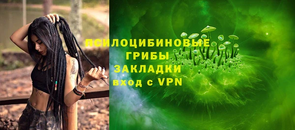 прущие грибы Баксан